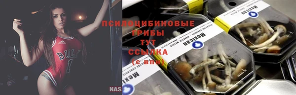 каннабис Нефтекумск
