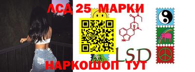 шишки Донской
