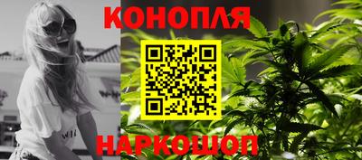 стафф Дубна