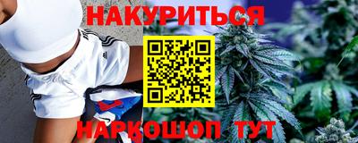 шишки Донской
