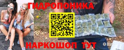 стафф Дубна