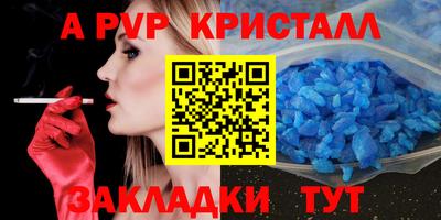 стафф Дубна