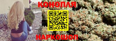 шишки Донской