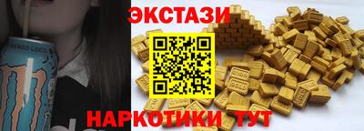 стафф Дубна