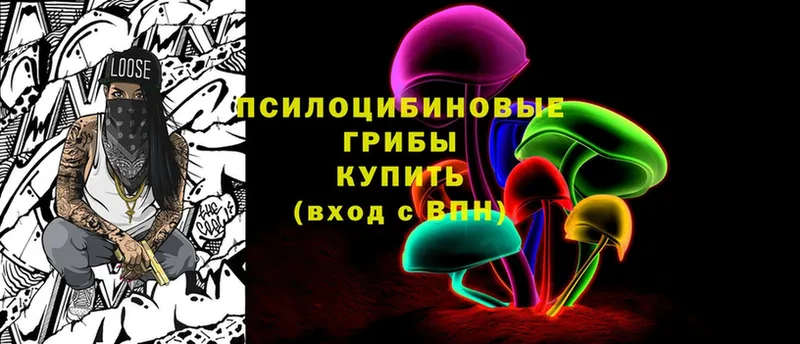 Псилоцибиновые грибы Psilocybine cubensis Заречный