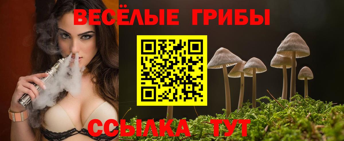 Псилоцибиновые грибы Psilocybe  Вход с VPN  Заречный 