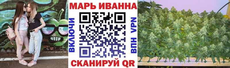 Шишки марихуана гибрид  Заречный 